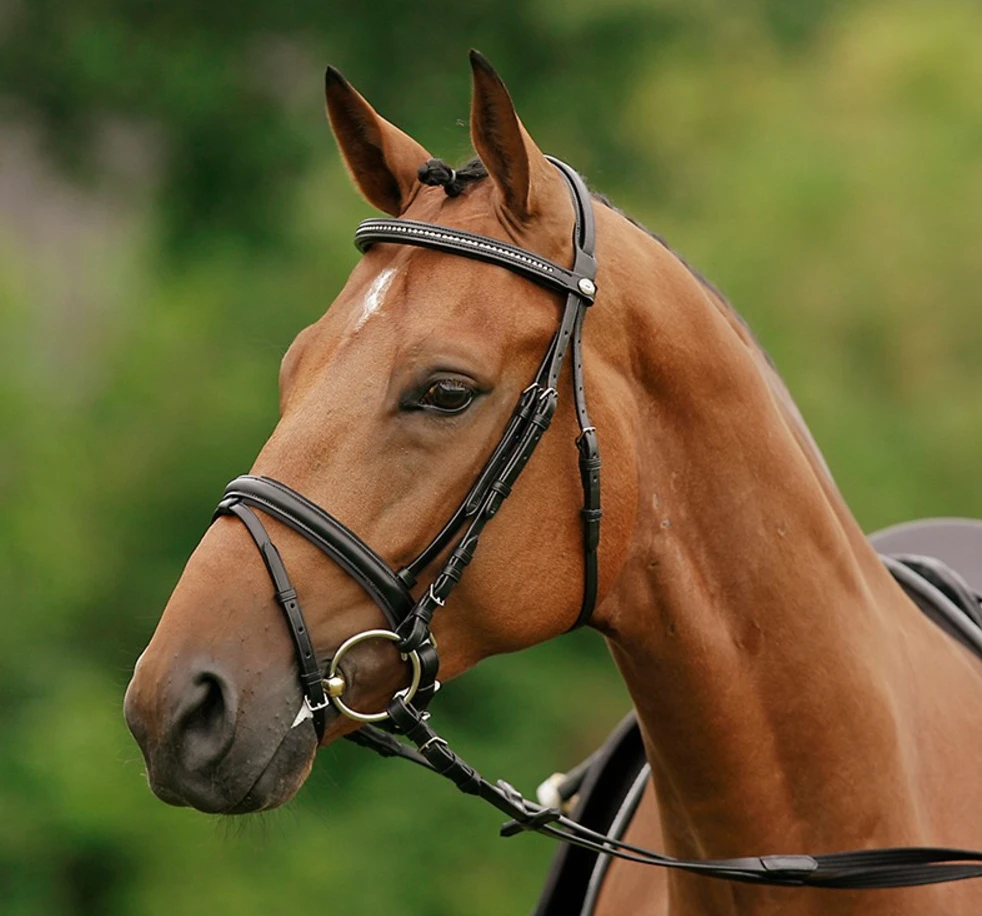 Schockemohle Stockholm-S Bridle