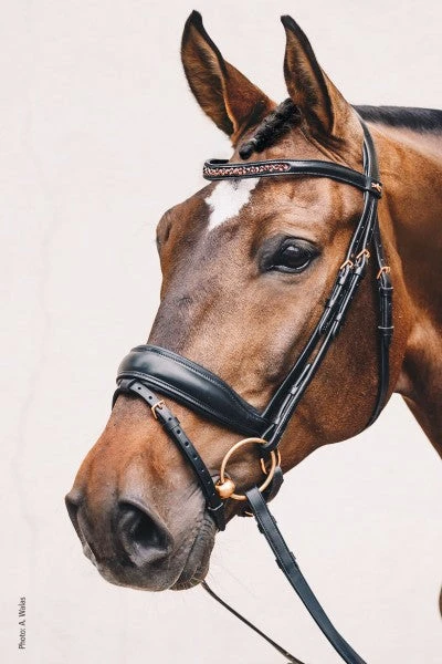 Schockemöhle Standford S Bridle