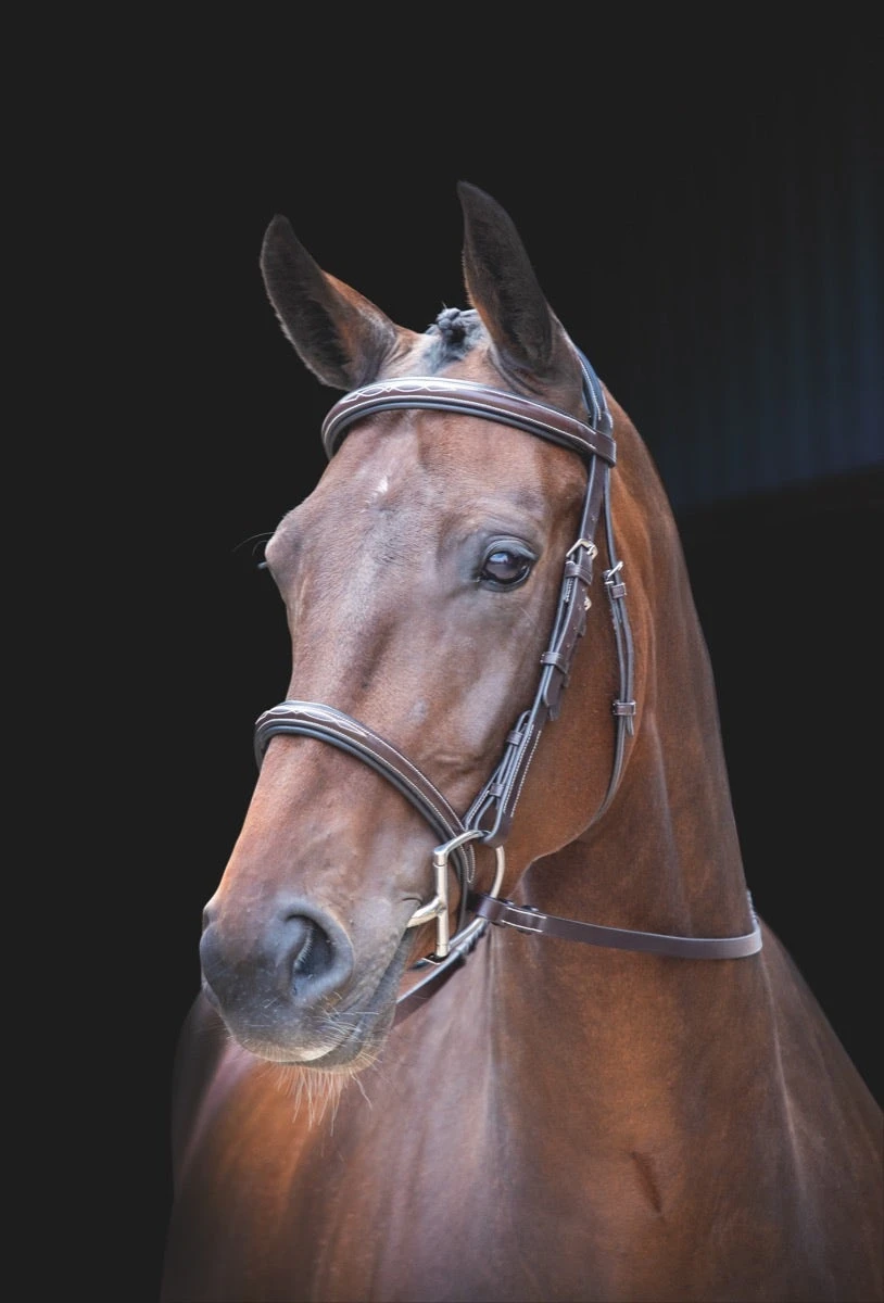 Shires Rossano Amalfi Bridle