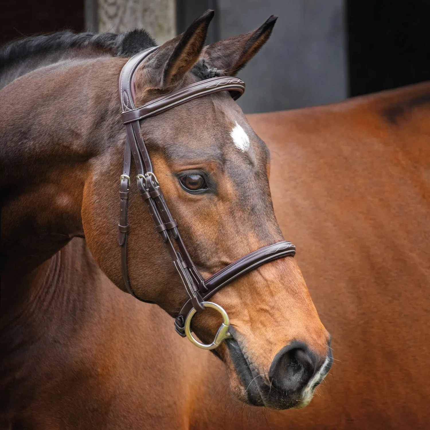 Shires Lusso Hunter Bridle