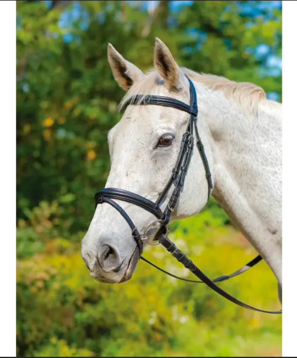 Shires Avignon Louisville Bridle