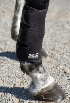 Ice Horse Tendon Wrap