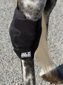 Ice Horse Hock Wrap