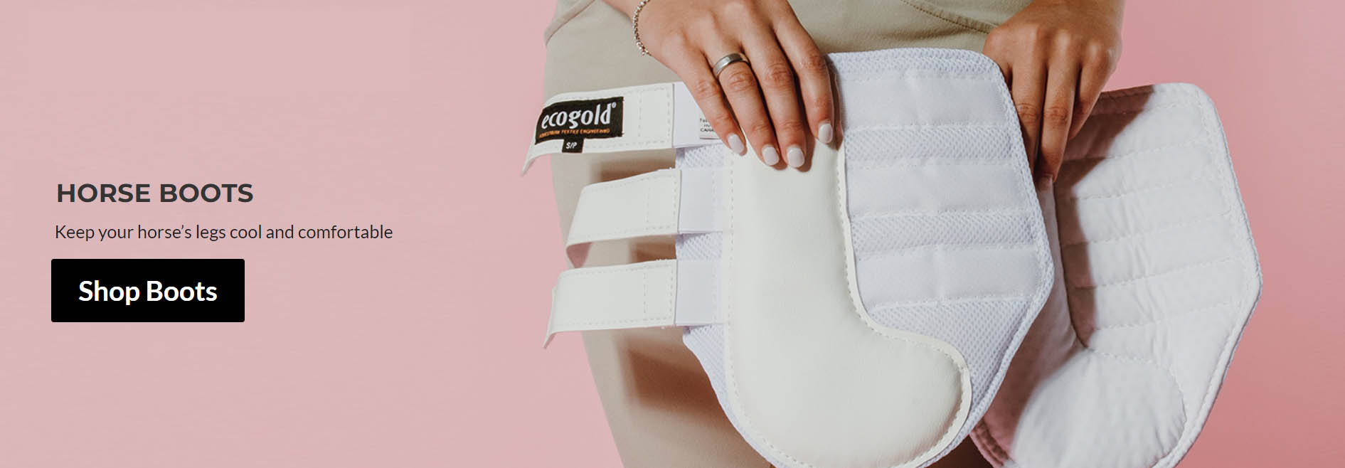 Equestrian Specialty Store -Equestrian Specialty Store sfsf